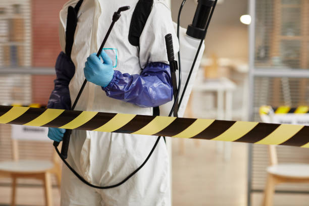 Professional Sewage Cleanup technician working in Holstein, NE